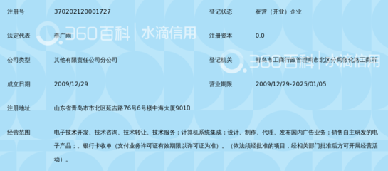 拉卡拉支付青岛分公司 聚焦前沿科技，赋能高效支付——计算机技术咨询服务概述